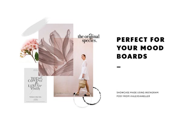 111个非凡令人着迷的PS画笔笔刷 Swirls & Strokes Brushes Set插图(9)