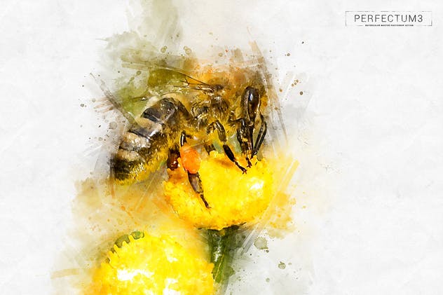 水彩插画大师PS动作 Perfectum 3 – Watercolor Master Photoshop Action插图(13)
