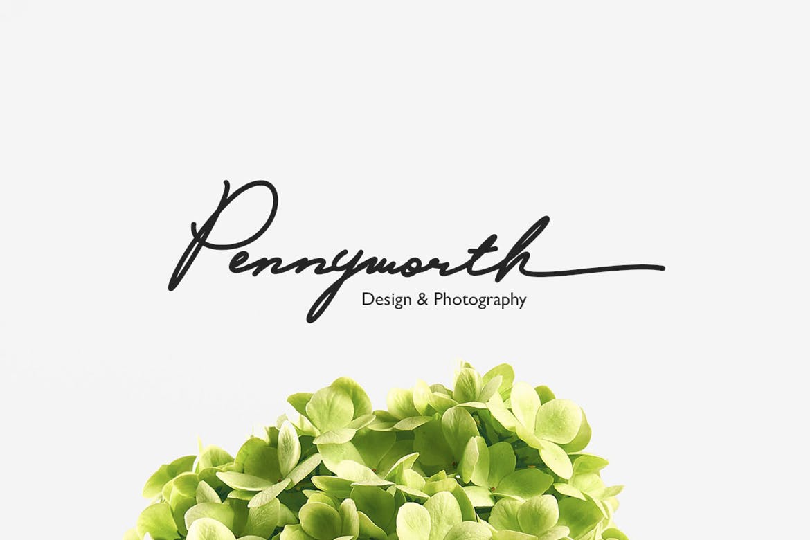 哈维·登特英文钢笔连笔签名字体 Harvey Dent Signature插图(2)