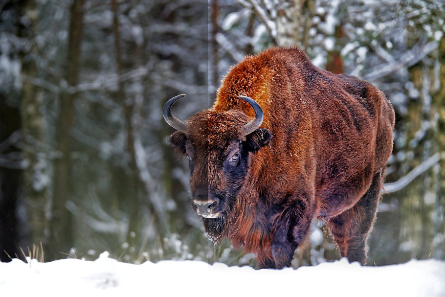 20款专业HDR照片特效PS动作 20 Pro HDR PS Actions插图(3)