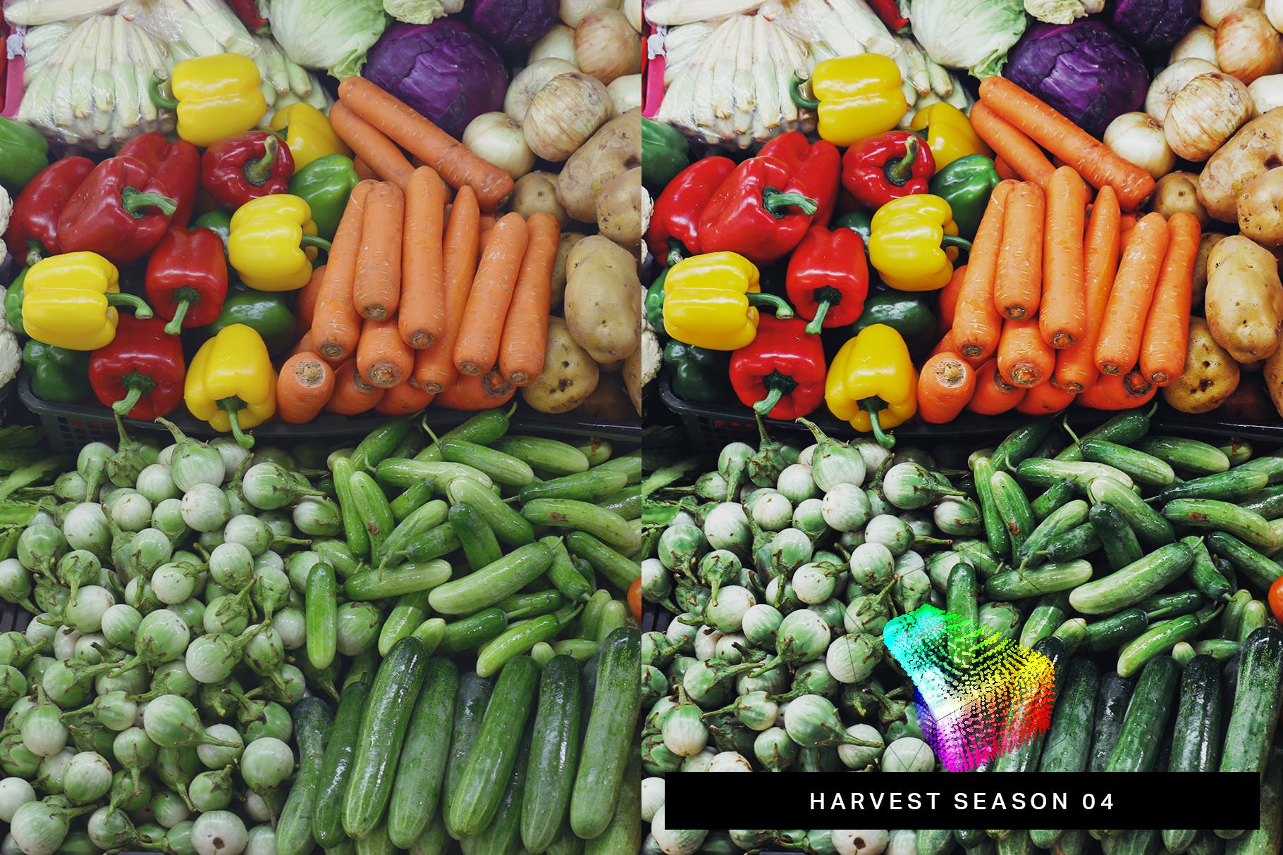 50款花园摄影/食物摄影后期调色处理Lightroom预设 50 Bountiful Garden Lightroom Presets and LUTs插图(3)