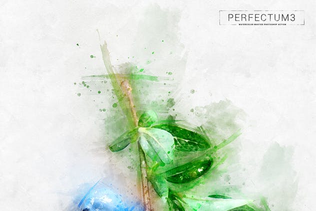 水彩插画大师PS动作 Perfectum 3 – Watercolor Master Photoshop Action插图(14)