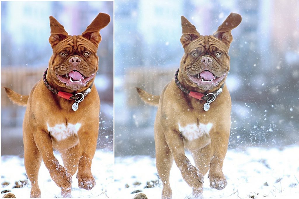 浪漫的雪景飘舞雪花效果PS动作 Snow Photoshop Action插图(4)