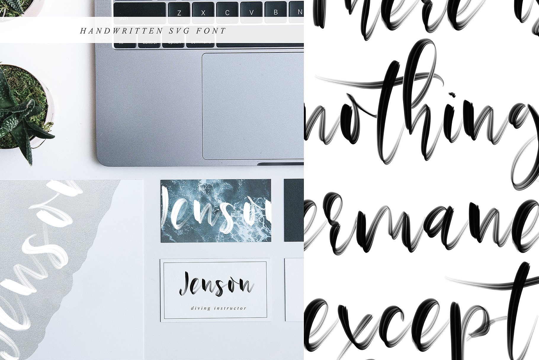 行云流水英文书法SVG画笔字体 Ostinel SVG Script Font插图(6)