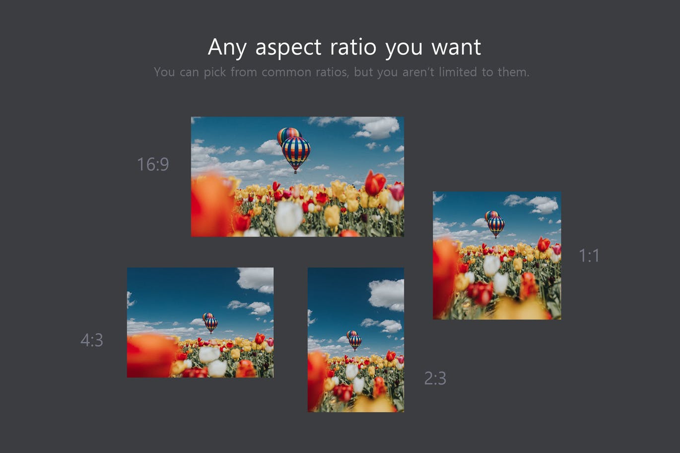 PS图像像素比&格式快速切换工具 Ratio Switch – Format Change Kit插图(7)