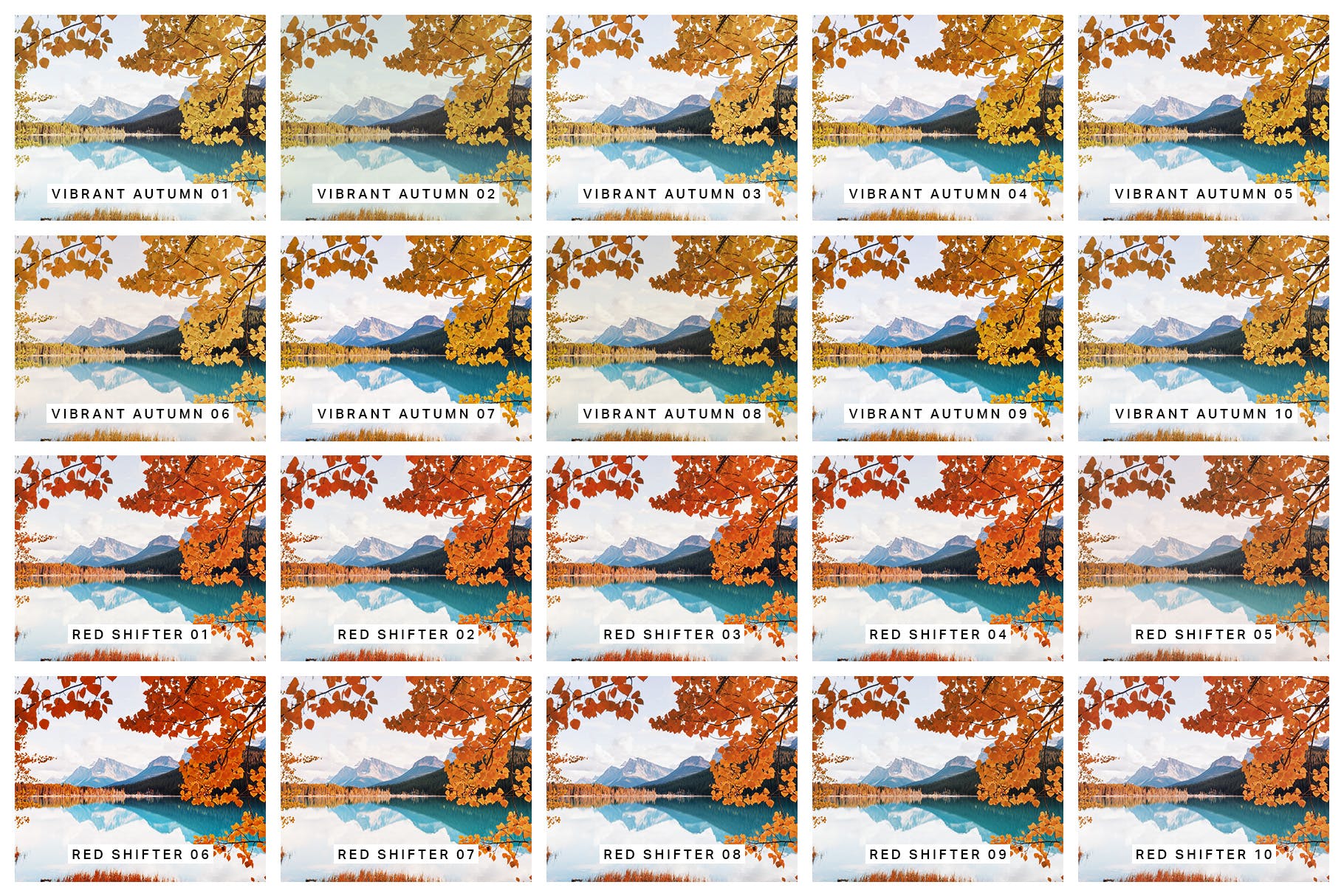 30款秋天主题摄影颜色增强LR预设下载 30 Autumn Enhancer Lightroom Presets and LUTs插图(1)