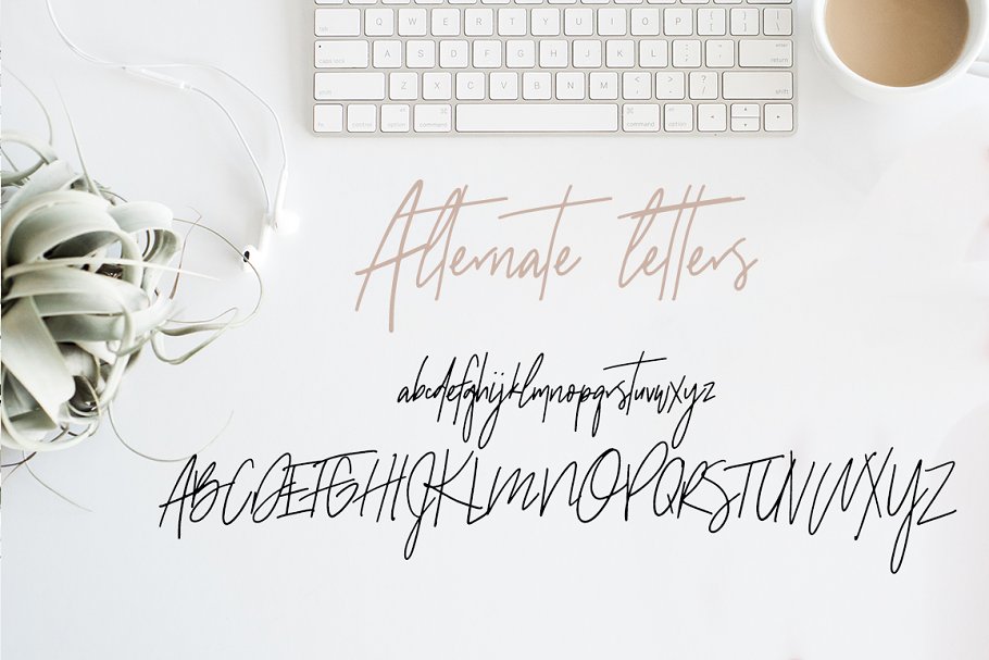 无衬线英文 Logo 字体+Logo 设计模板 Sydney | Font Duo + 12 Free Logos插图(3)