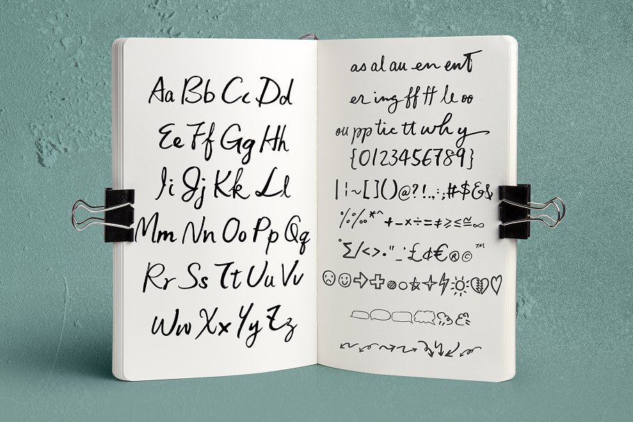 英文手写体字体+样机+笔刷 Tetyou Script + Mock up + Brushes插图(1)