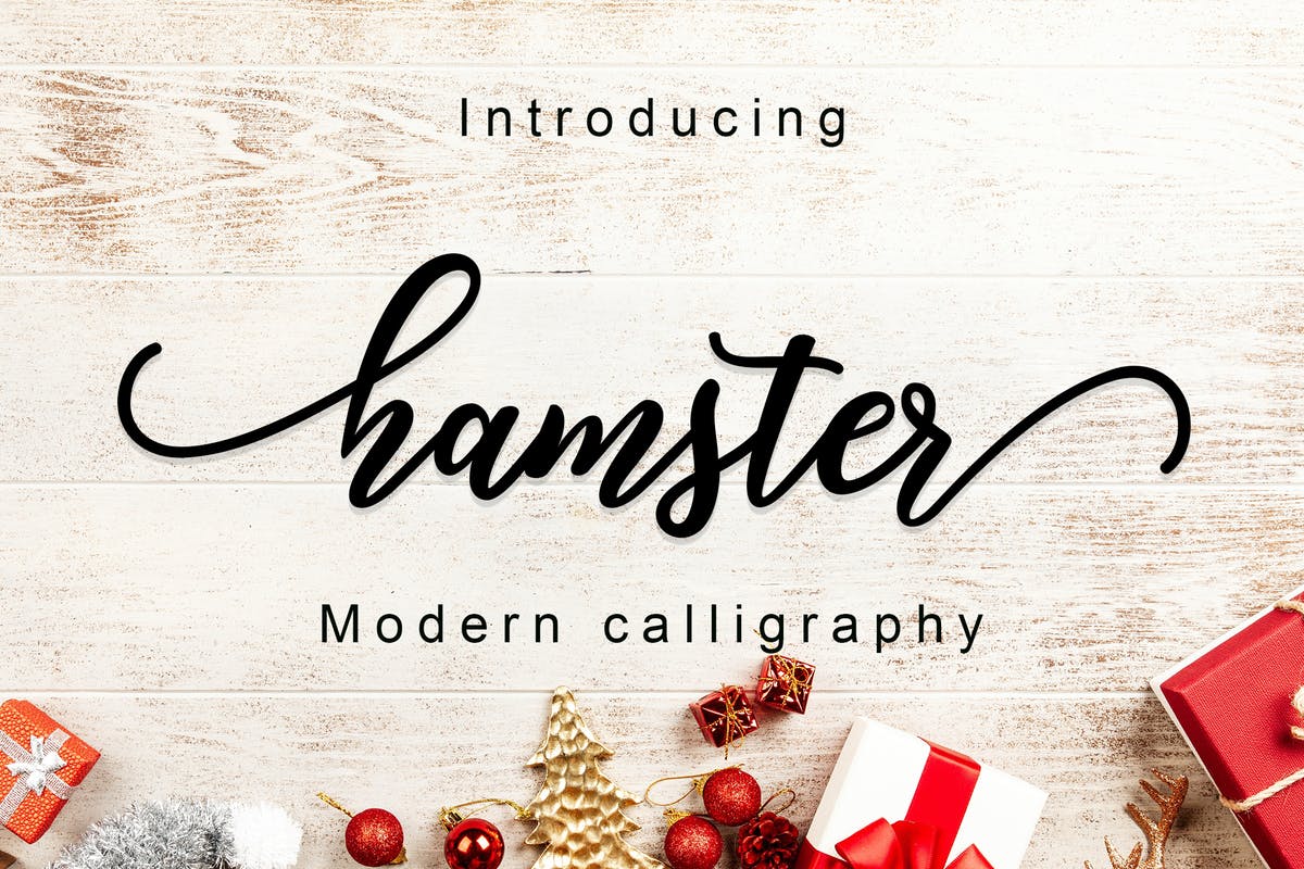 现代手写风格英文字体 Hamster Script插图