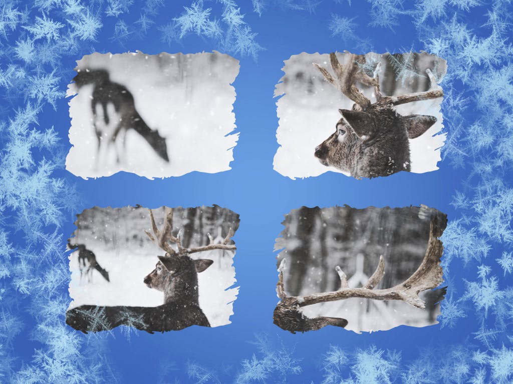 冬天雪花背景素材库精选Keynote模板下载 Hello Winter Keynote Template插图(15)