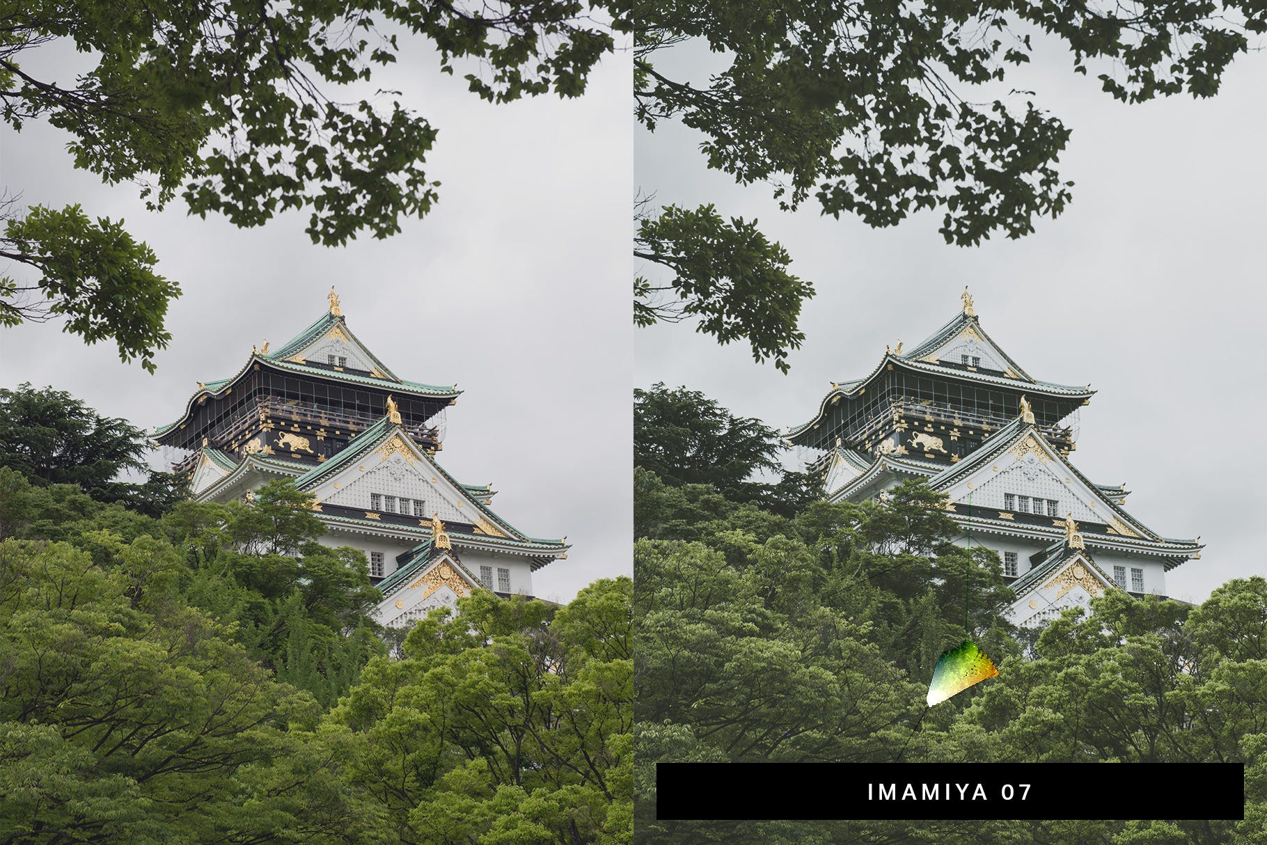 50款绿色背景摄影后期调色处理素材库精选LR预设 50 Matcha Lightroom Presets and LUTs插图(1)