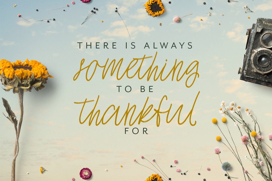 豪迈流畅钢笔英文书法字体下载 Joy Flight Script Font插图(1)