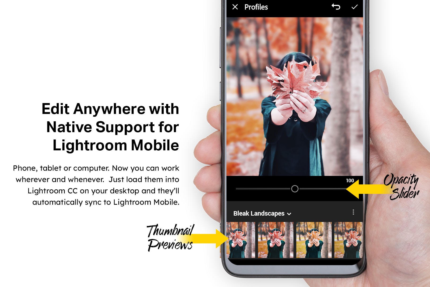30款秋天主题摄影颜色增强LR预设下载 30 Autumn Enhancer Lightroom Presets and LUTs插图(9)