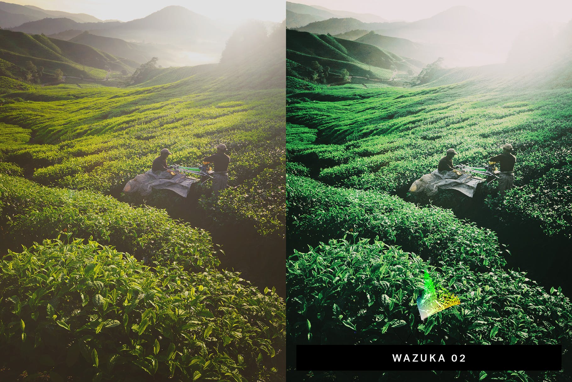 50款绿色背景摄影后期调色处理素材库精选LR预设 50 Matcha Lightroom Presets and LUTs插图(4)