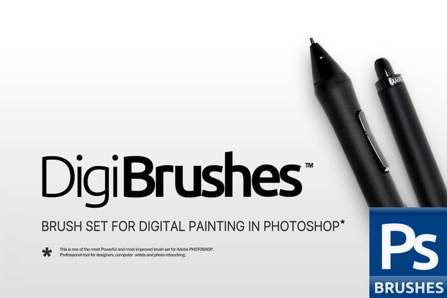 RM出品数码画笔笔画PS笔刷 RM PRO Digi Brushes插图