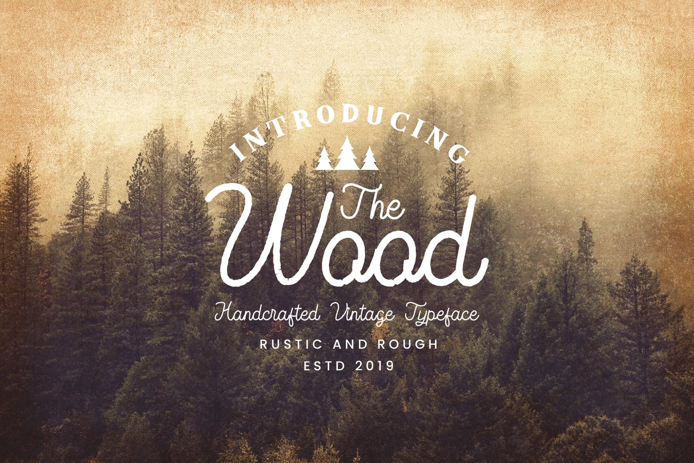 Monoline复古设计风格英文书法字体 The Wood – Vintage Monoline Script插图