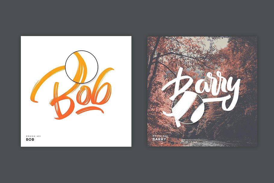 Procreate手绘工具包-纹理&笔刷合集 BrushScript Bundle for Procreate插图(1)