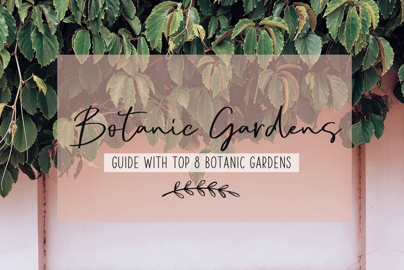 英文钢笔签名字体素材库精选&大写字母正楷字体素材库精选二重奏 Sophia Reign signature font duo插图(9)