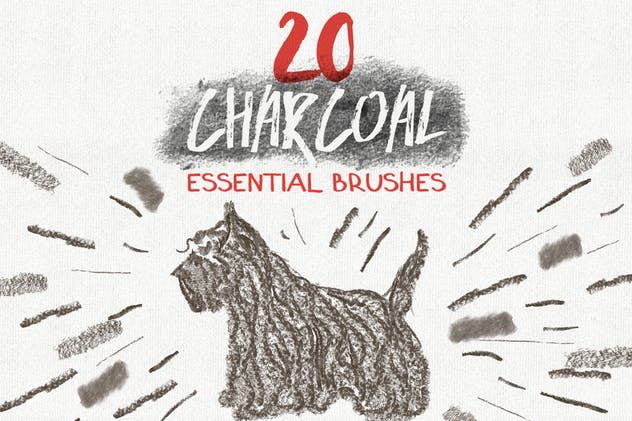 数码绘画大师AI画笔笔刷大合集 Essential Vector Brushes Collection插图(2)