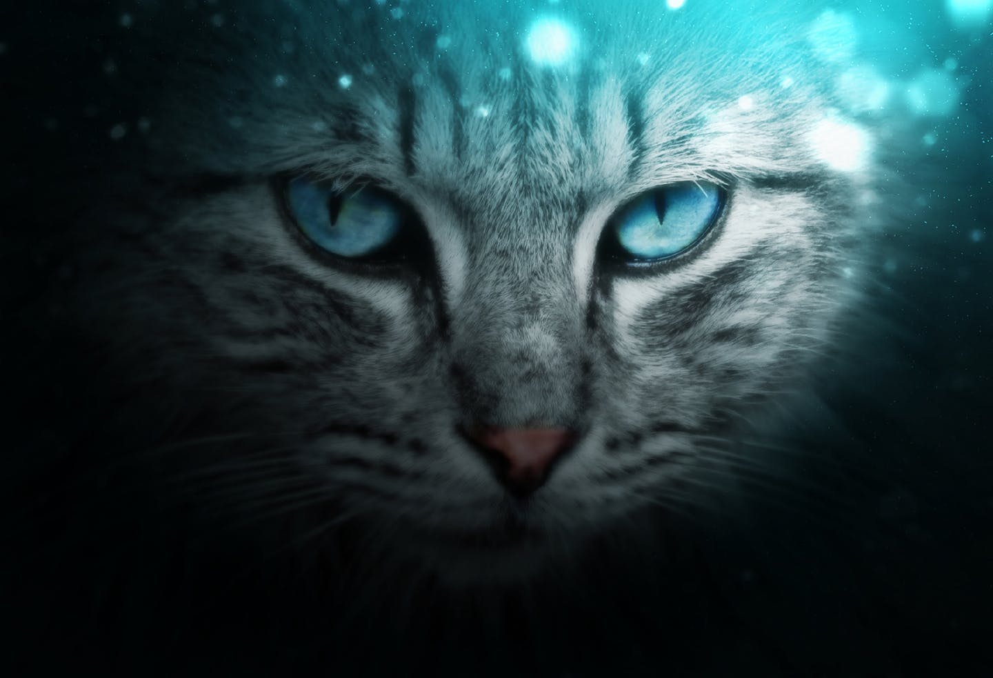 炫酷魔幻高光散景效果PS动作 Illuminate CS3+ Photoshop Action插图(2)