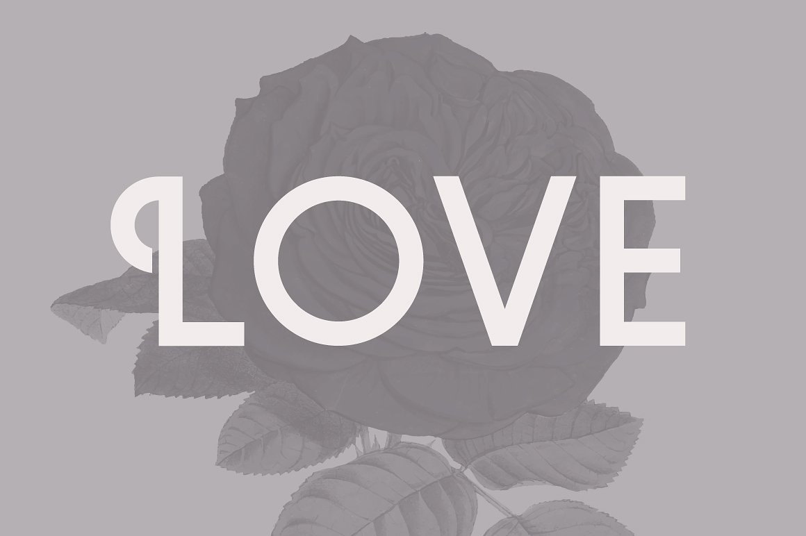 现代优雅品牌设计英文无衬线字体 Violet Font插图(1)