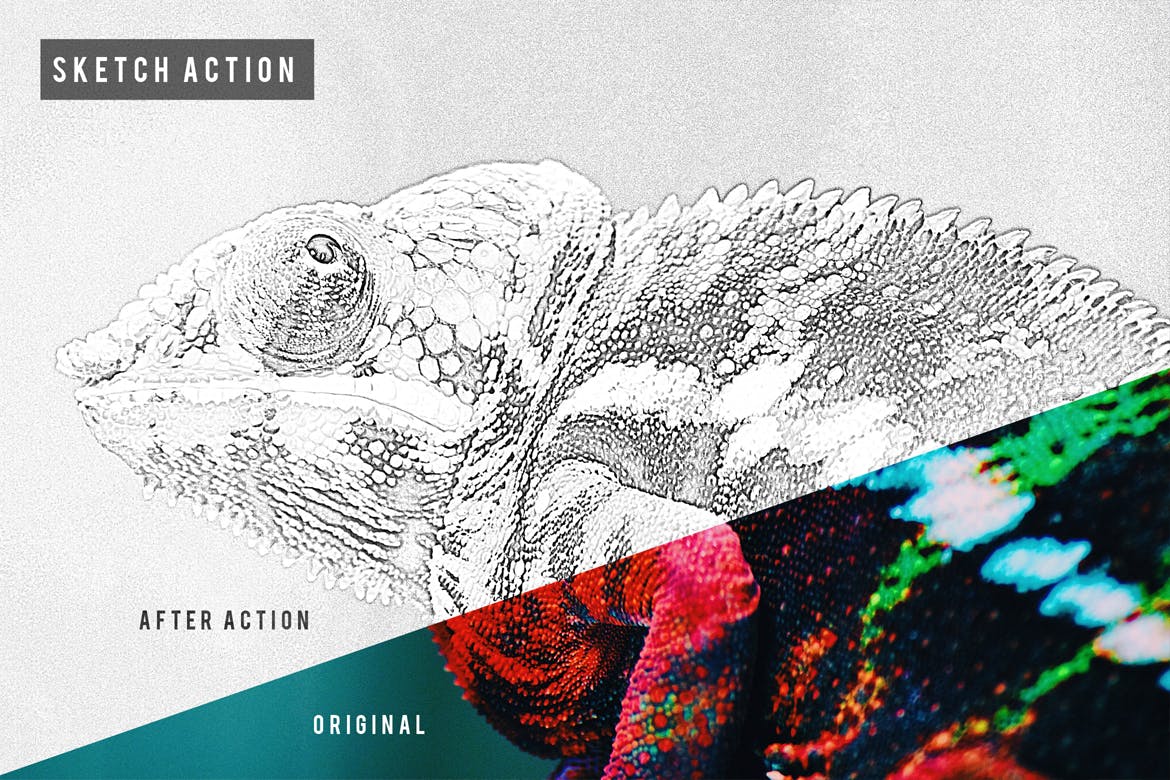 素描大师作品一键生成PS照片特效动作 Sketch Action插图(1)