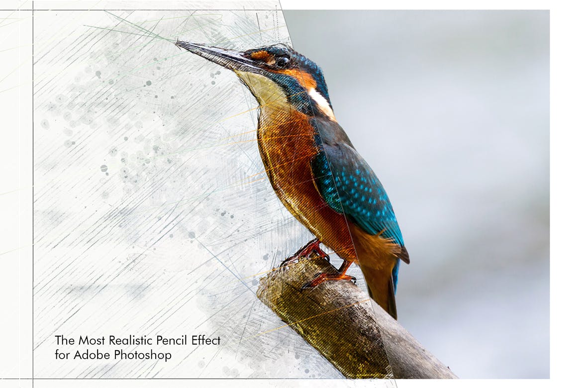 照片转彩铅手绘素描绘画效果PS动作 Animated Pencil Sketch FX Photoshop Add-On插图(1)