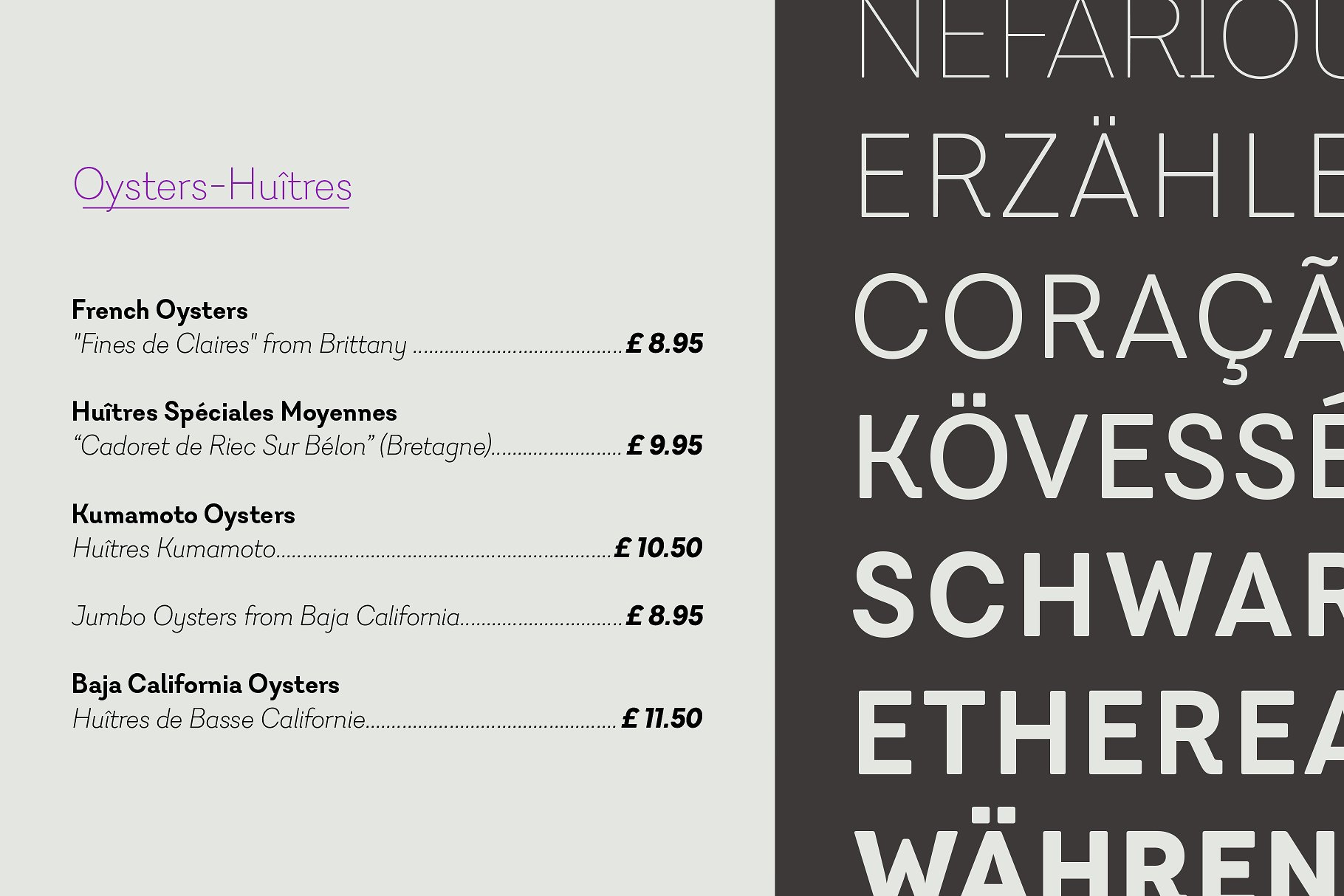 品牌设计/印刷排版适用的几何无衬线英文字体 Javiera插图(2)