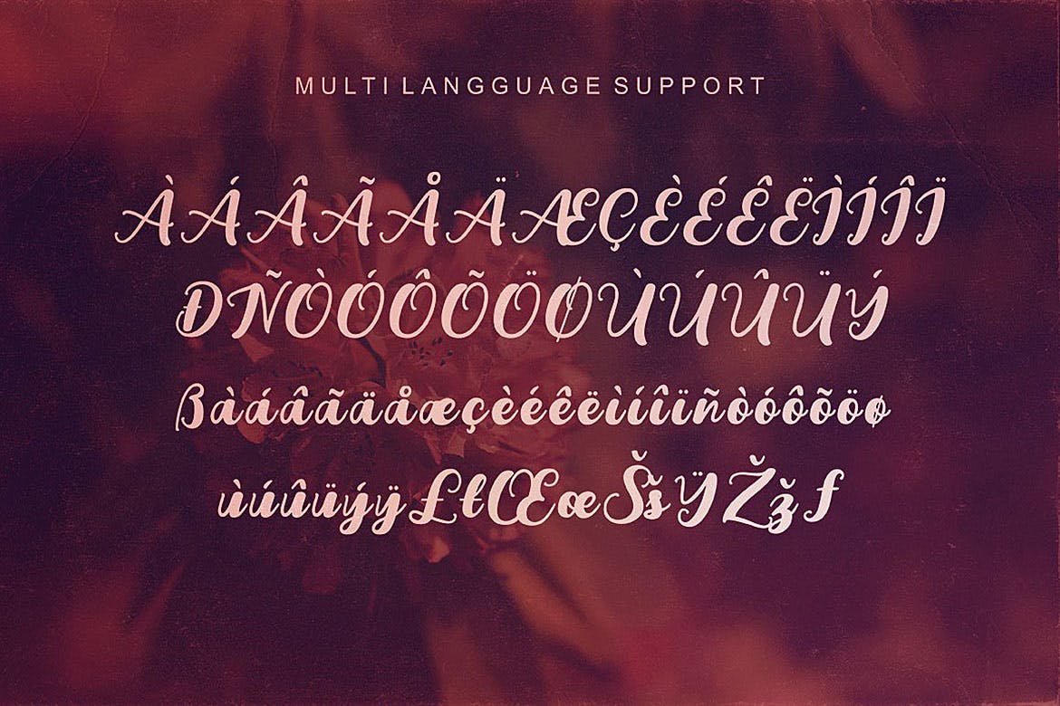 创意英文书法粗体字体下载 Youth Script Font插图(3)