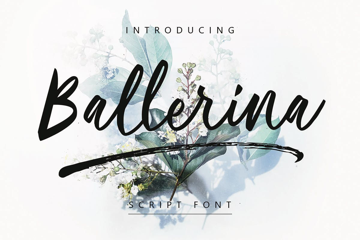 现代优雅书写风格英文手写字体 Ballerina | Script Font MS插图
