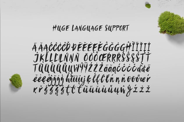 时尚/美容/食品/服装和杂志设计绝配手写英文字体 Sanös Extended Script Font插图(8)