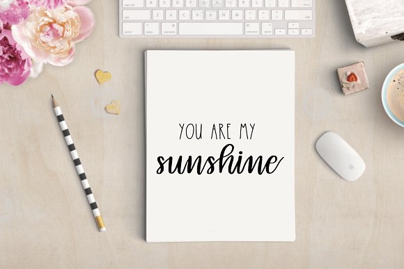 Hand Lettered Font Duo插图3