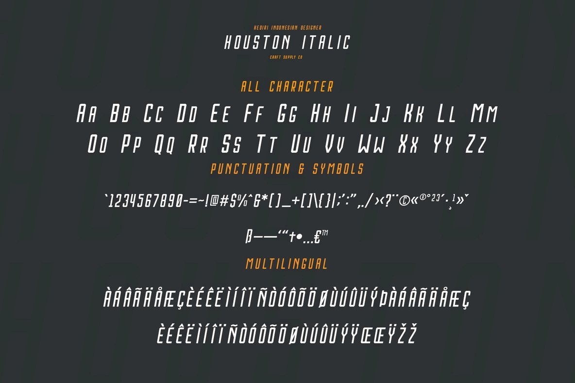 Houston Italic Font Family插图3