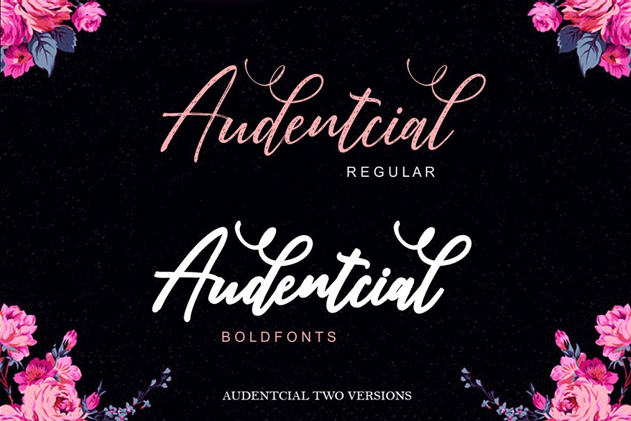 Audentcial Font插图1