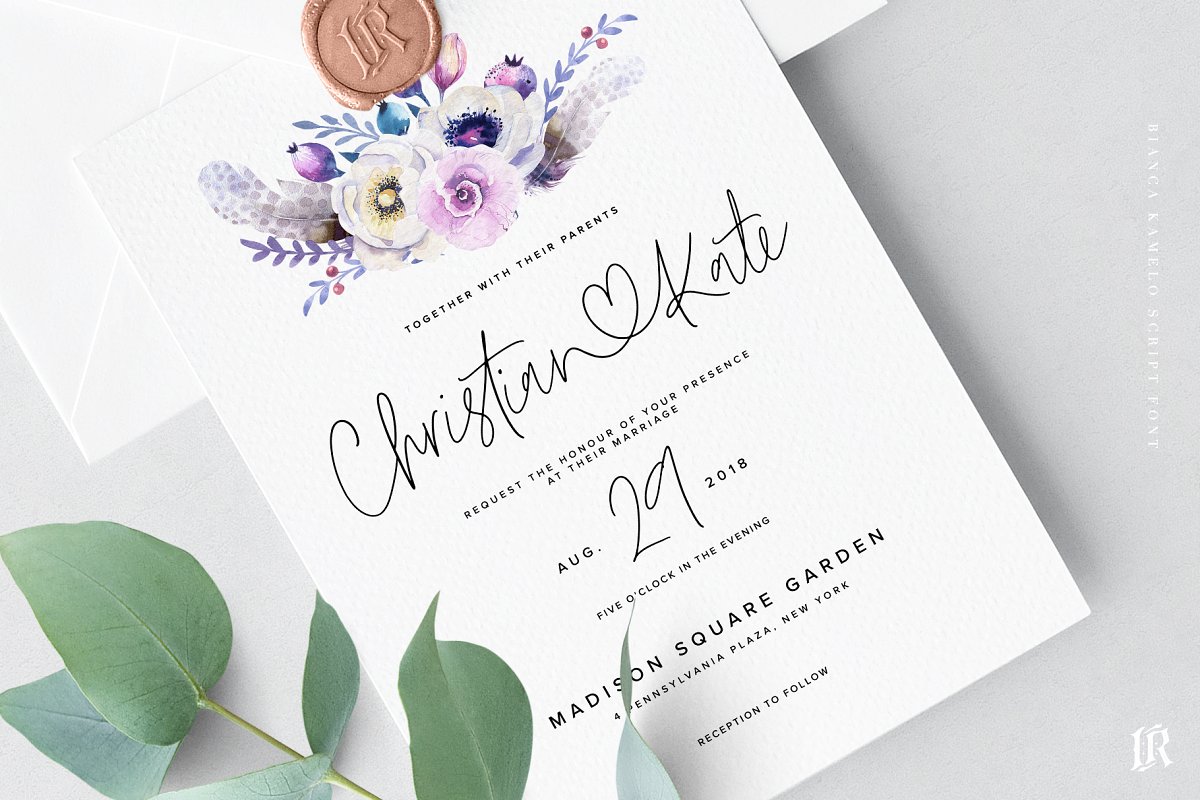 Bianca Kamelo Font插图1