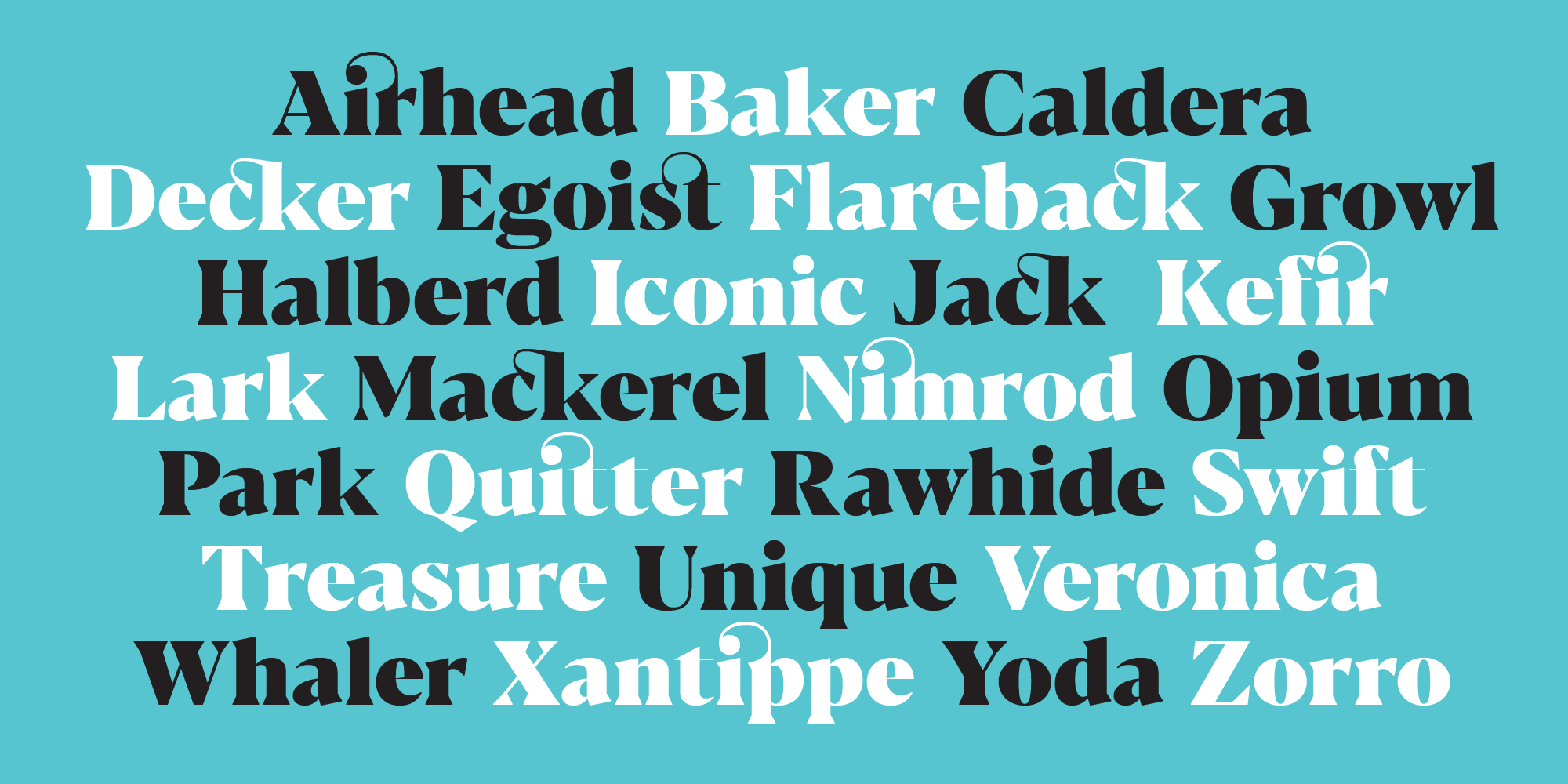 Blacker Font Family插图1