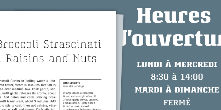 Attorney Font Family插图2