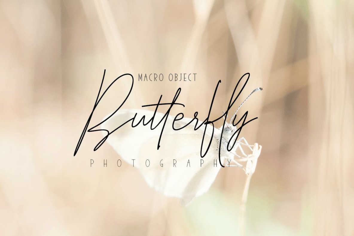 Elegantly & Modest Duo Font Family插图