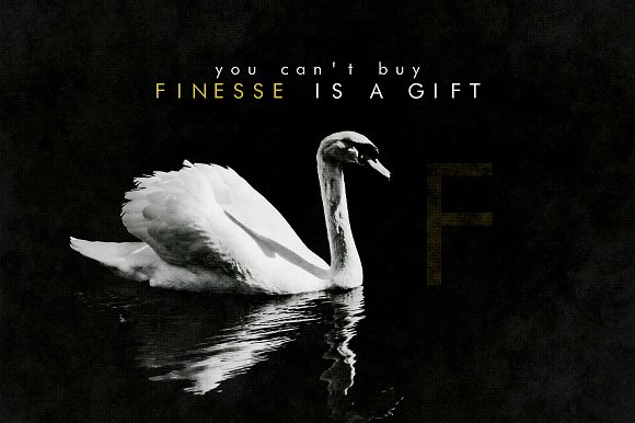 Finesse – Minimal MONO Font插图2