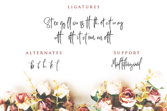 Better Saturday Font插图4