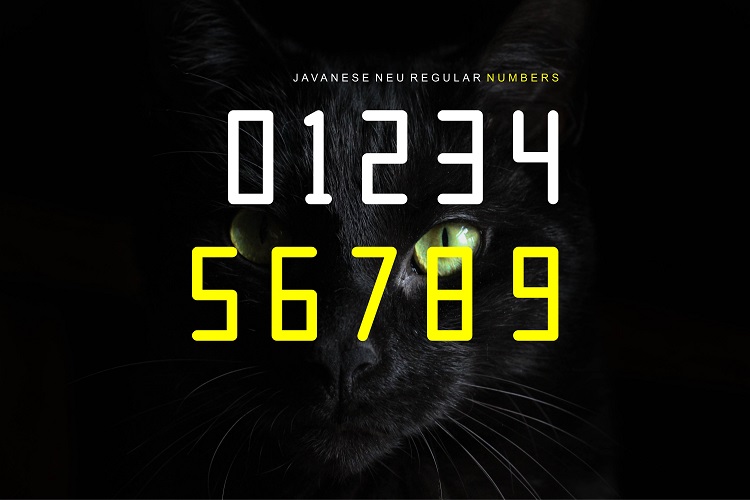 JAVANESE NEURegular Font插图3