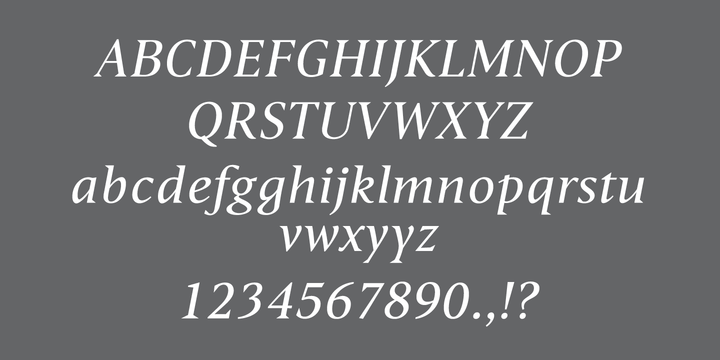 Haggard Nova Font Family插图3