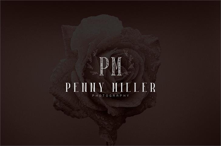 Desislava Ornament font插图4 Desislava Ornament font插图4