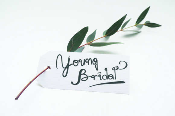 Mary Quincy Font插图2