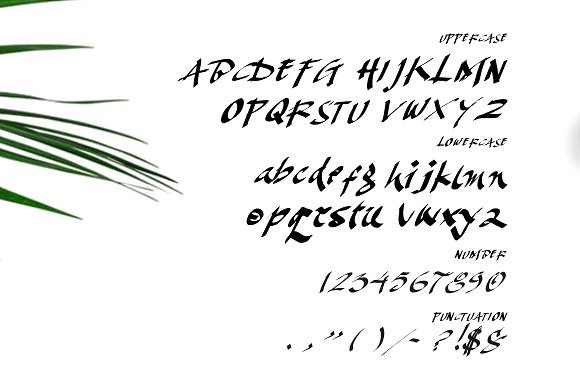 Karacca Typeface插图4