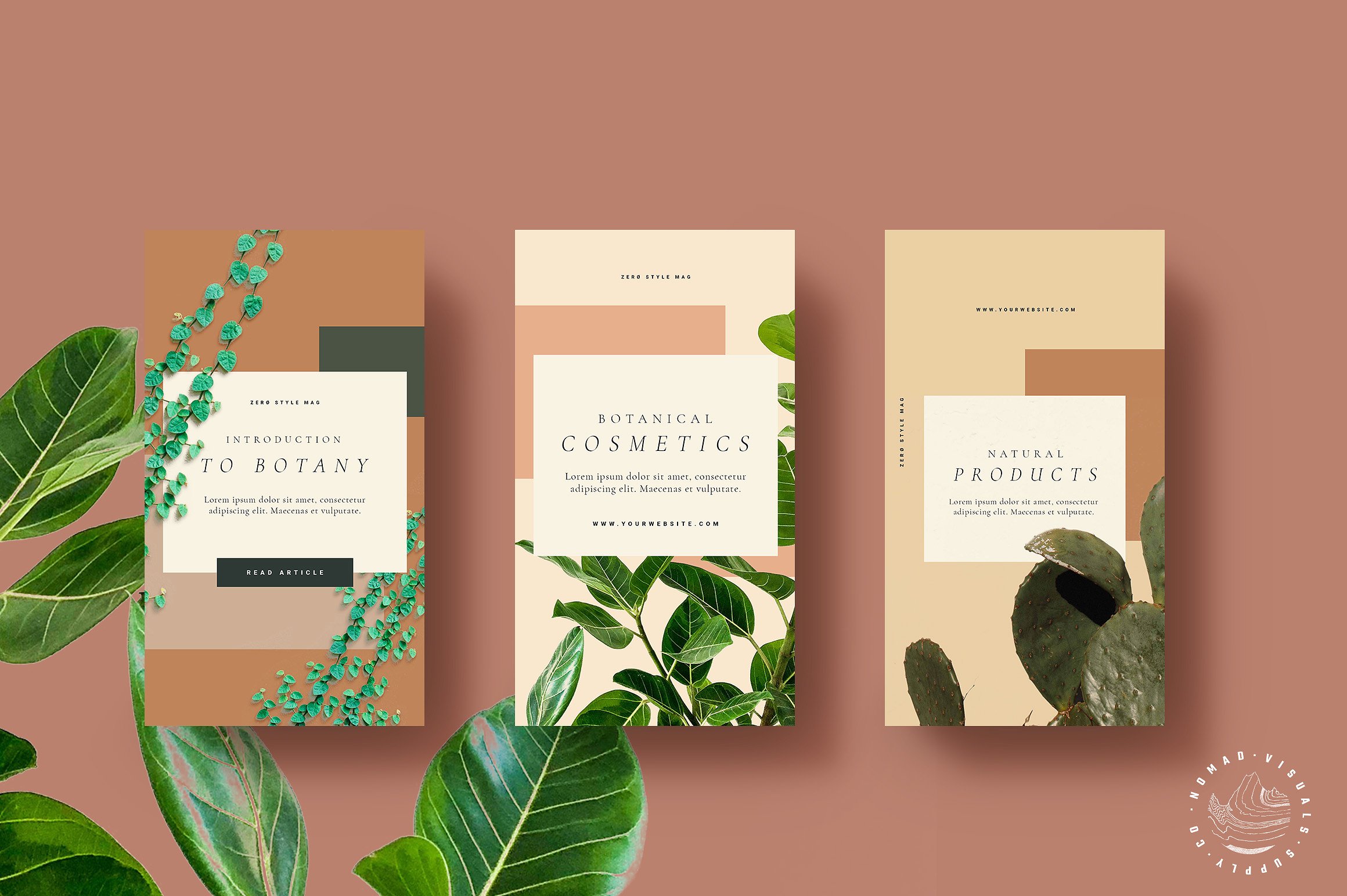 时尚高端Instagram故事动画模板素材库精选 Natural Store Animated Stories [psd]插图(1)