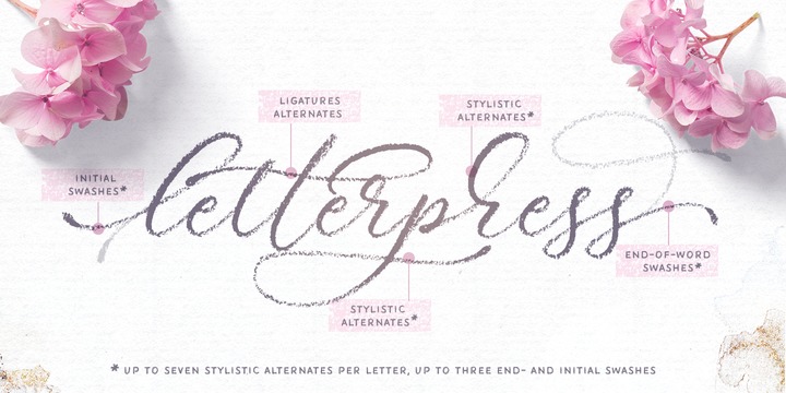 Palomino Font Family插图3