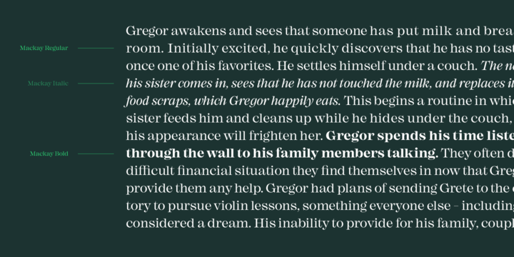 Mackay Font Family插图6