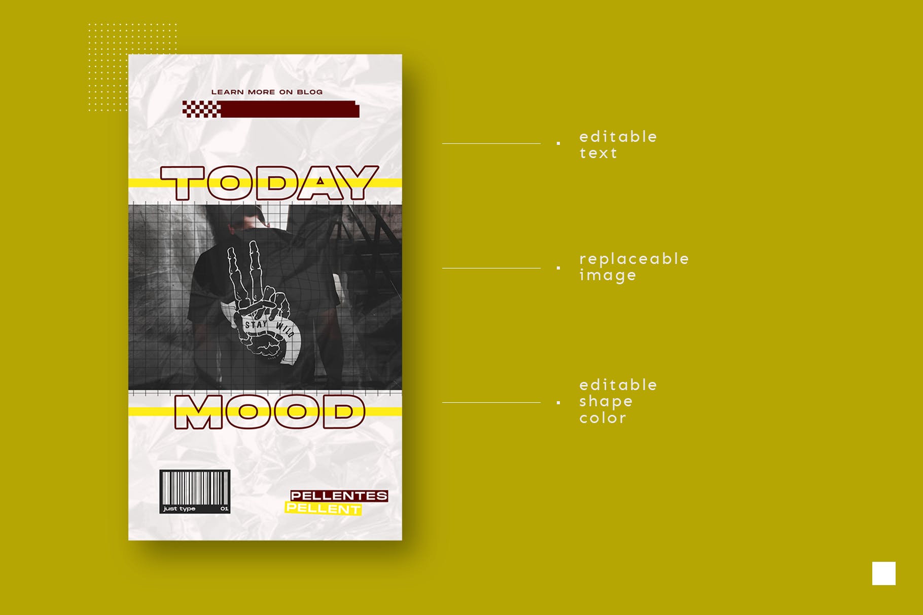 Instagram社交平台品牌故事广告设计模板素材库精选 Instagram Story Template插图(4)