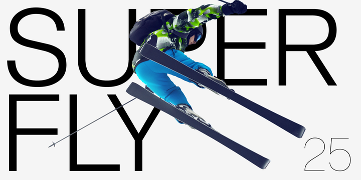 Shapiro Font Family插图5